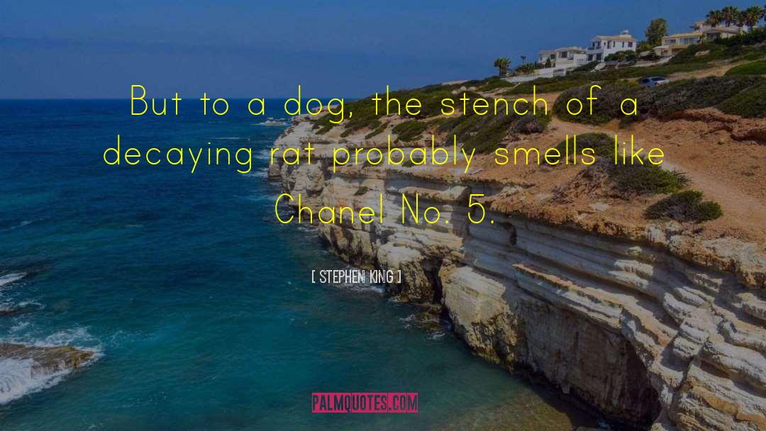 Chanel 5 Perfume quotes by Stephen King