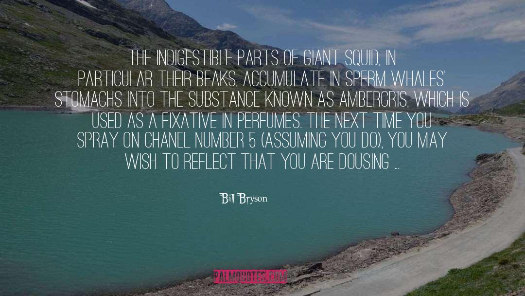 Chanel quotes by Bill Bryson