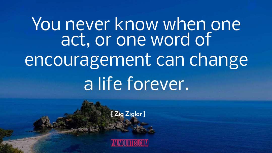 Change A Life quotes by Zig Ziglar