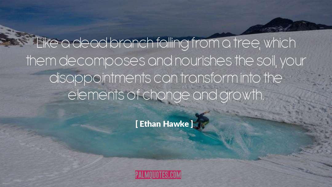 Change And Growth quotes by Ethan Hawke