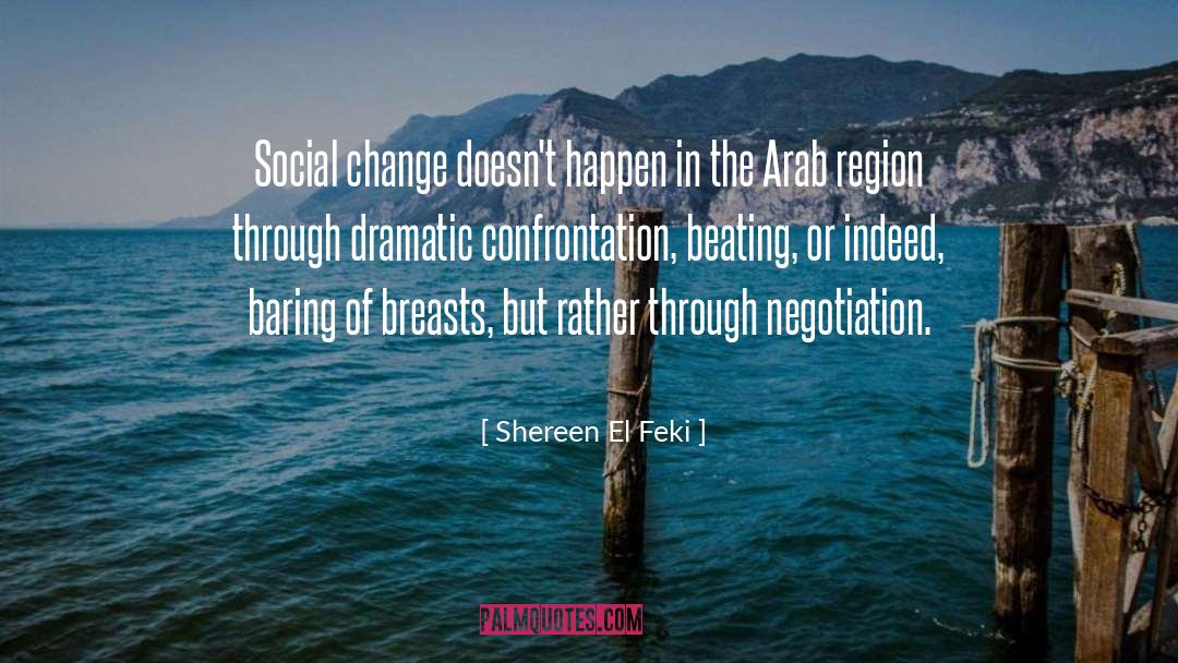 Change Doesnt Happen Overnight quotes by Shereen El Feki
