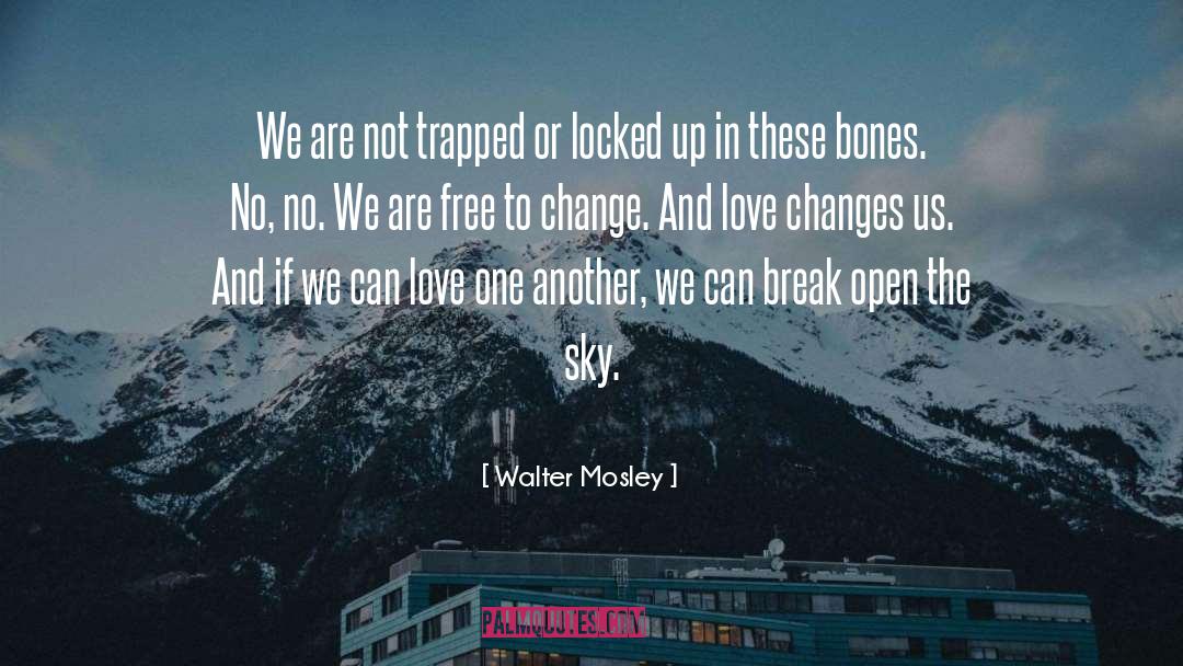 Change Growth quotes by Walter Mosley