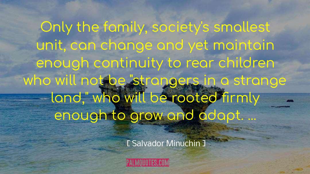 Change In Ideals quotes by Salvador Minuchin