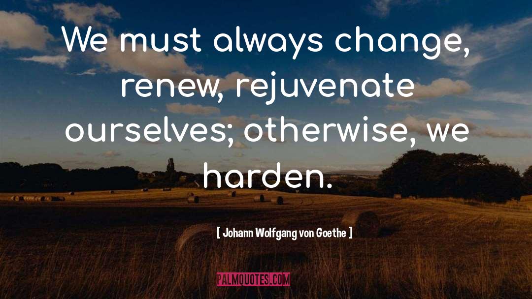 Change Is Inevitable quotes by Johann Wolfgang Von Goethe