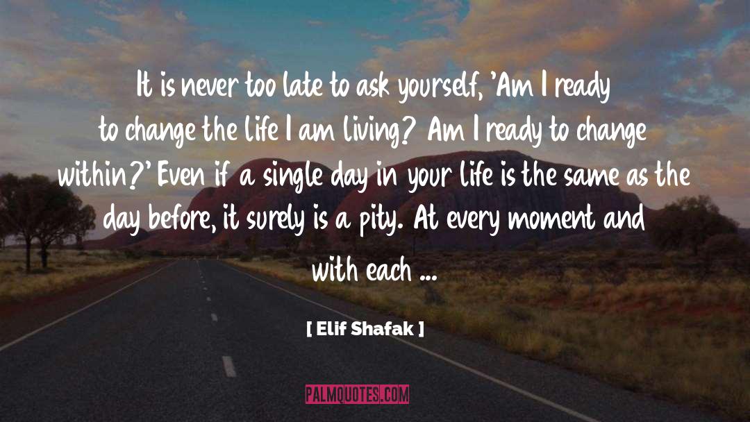 Change New Job quotes by Elif Shafak