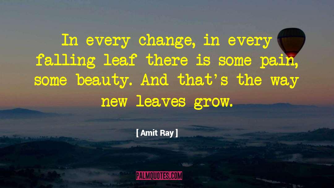 Change Of Of Heart quotes by Amit Ray