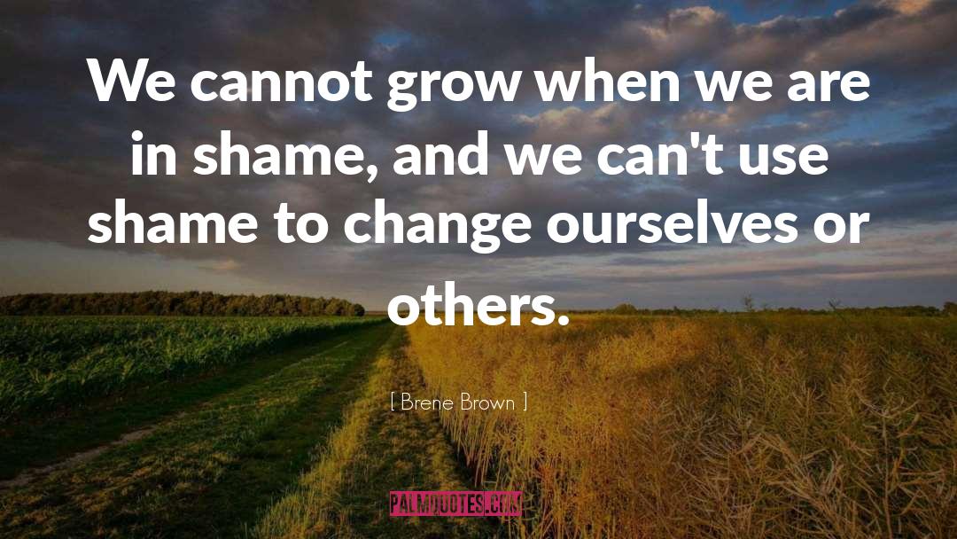 Change Ourselves quotes by Brene Brown