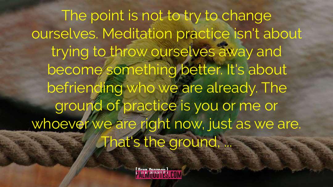 Change Ourselves quotes by Pema Chodron