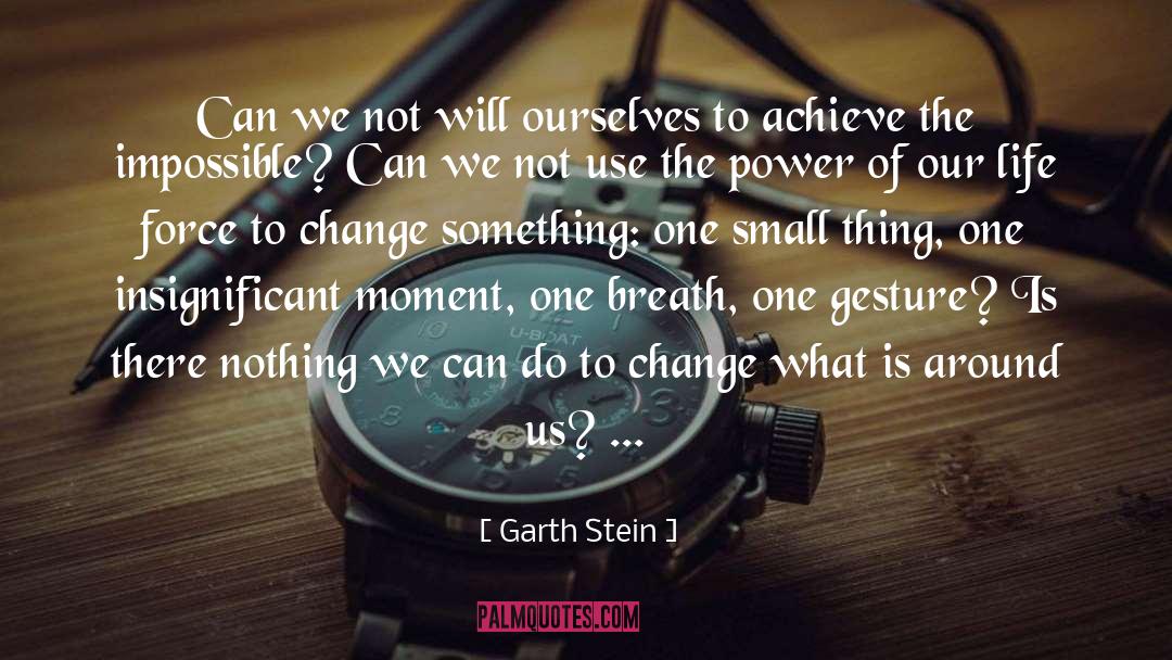 Change Something quotes by Garth Stein