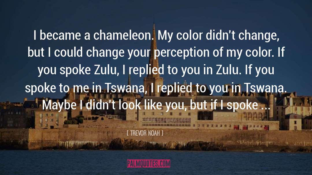 Change Your Perception quotes by Trevor Noah