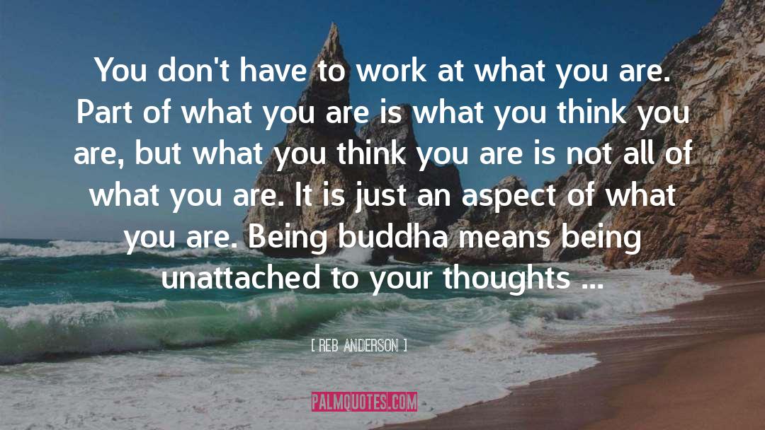 Change Your Thoughts quotes by Reb Anderson