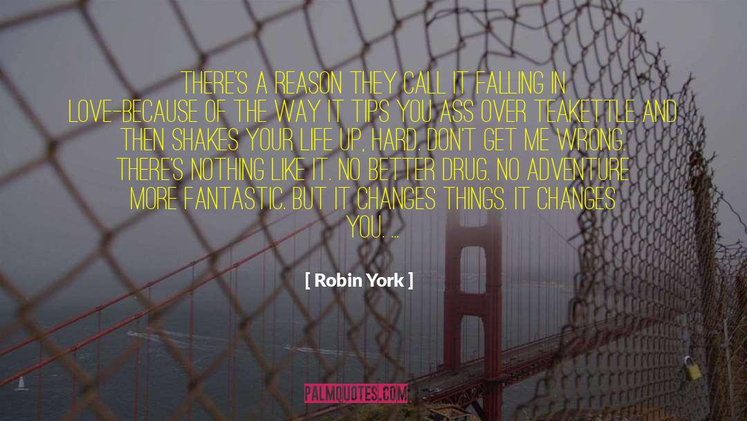 Changes Happen For A Reason quotes by Robin York