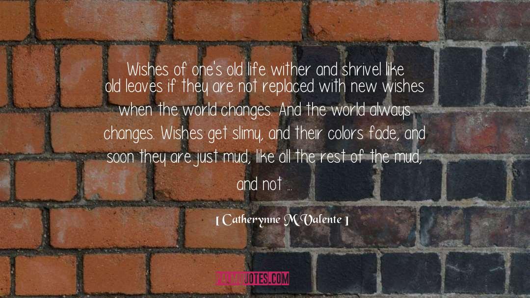 Changing Circumstances quotes by Catherynne M Valente