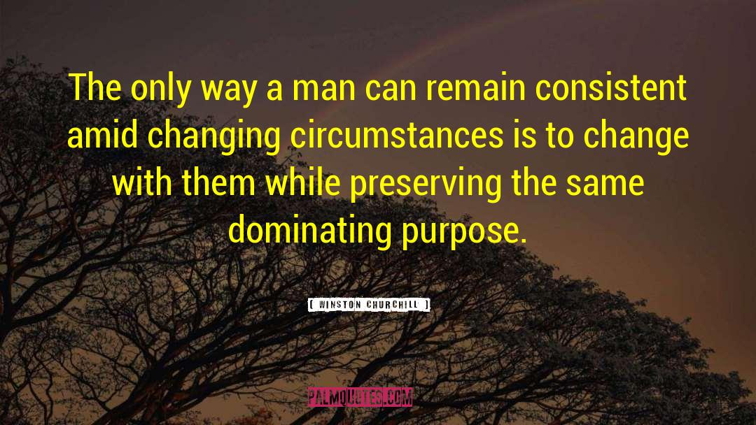 Changing Circumstances quotes by Winston Churchill