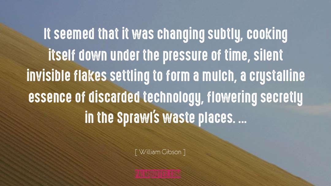 Changing Colors quotes by William Gibson