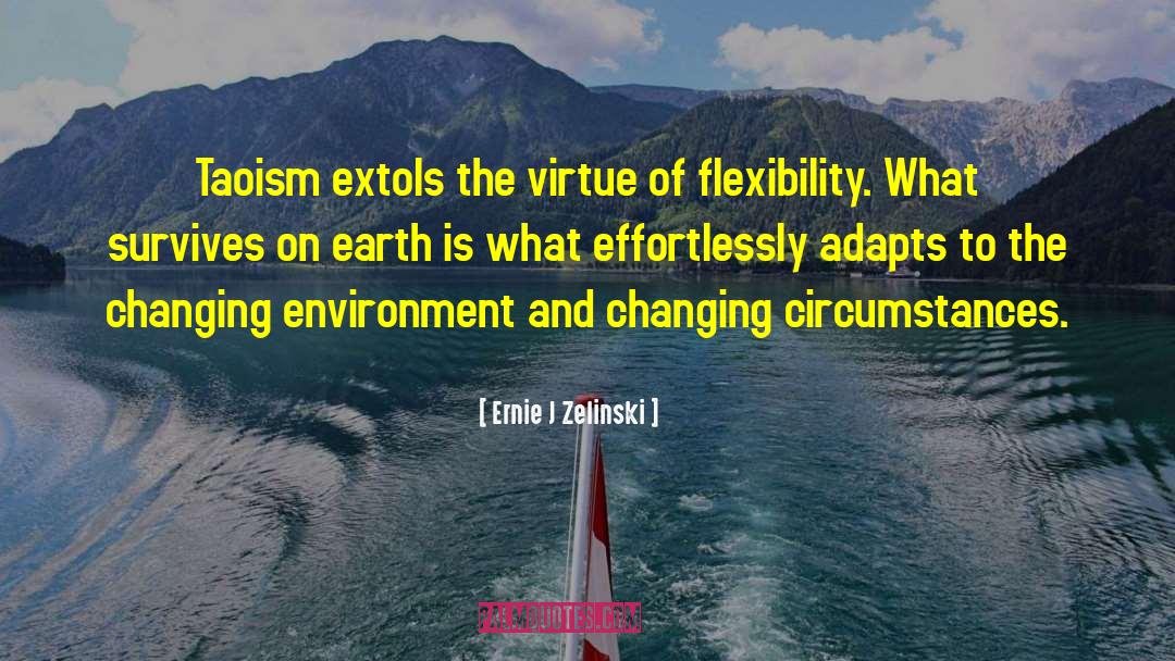 Changing Environment quotes by Ernie J Zelinski