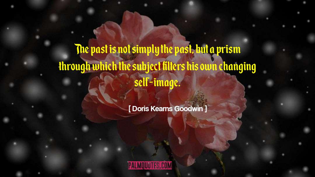 Changing Jobs quotes by Doris Kearns Goodwin