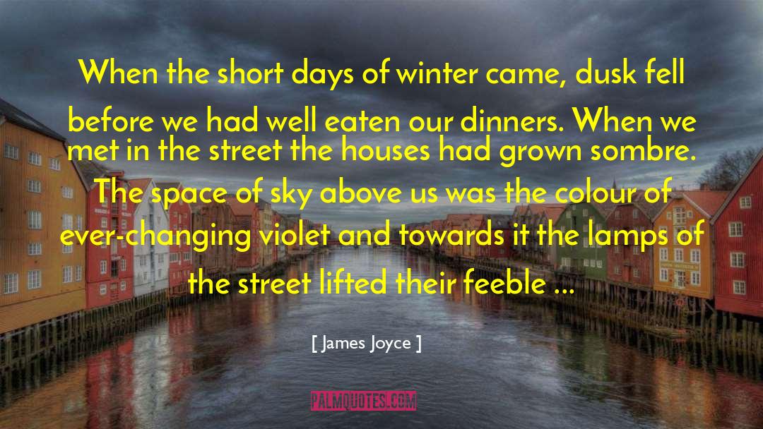 Changing Of Seasons quotes by James Joyce
