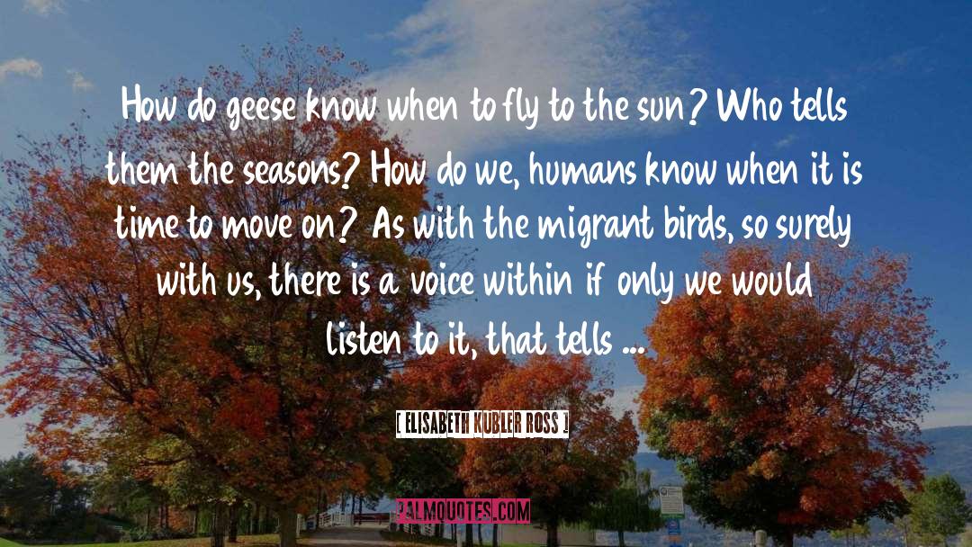 Changing Seasons quotes by Elisabeth Kubler Ross