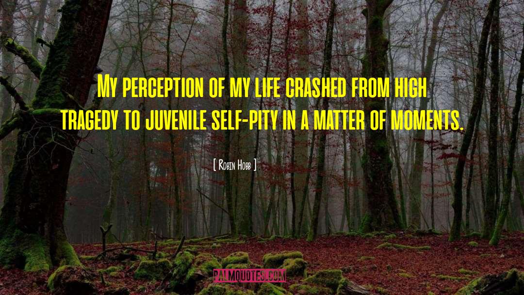 Changing Self Perception quotes by Robin Hobb