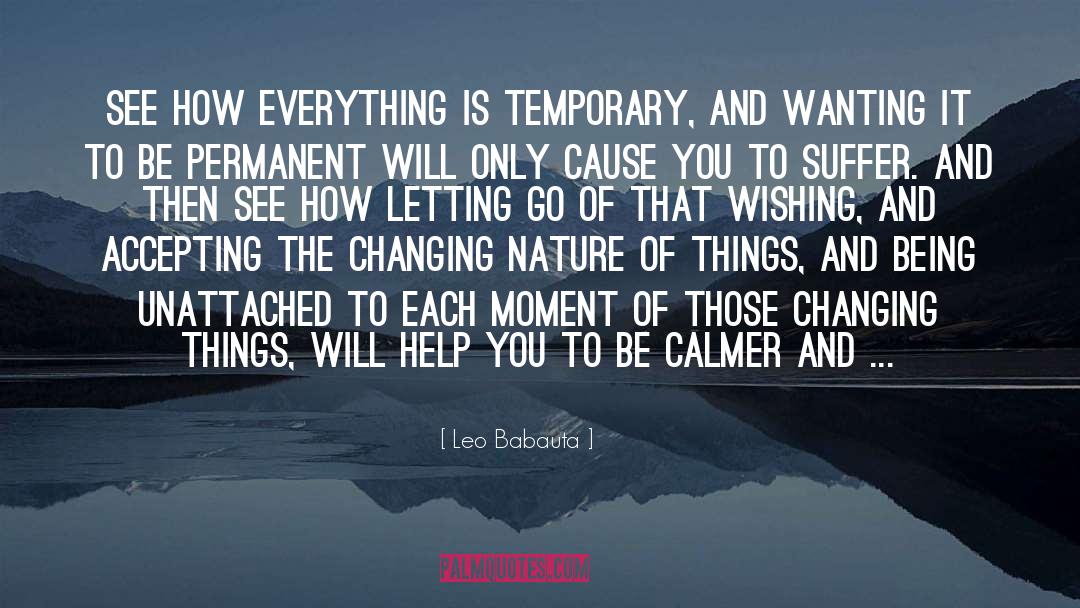 Changing Things quotes by Leo Babauta