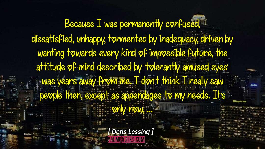 Changing Yourself quotes by Doris Lessing