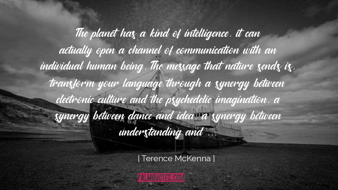 Channel quotes by Terence McKenna