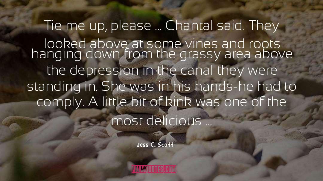 Chantal quotes by Jess C. Scott