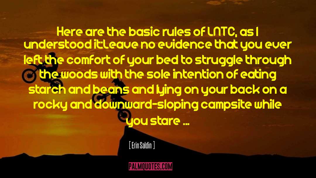 Chantepie Camping quotes by Erin Saldin