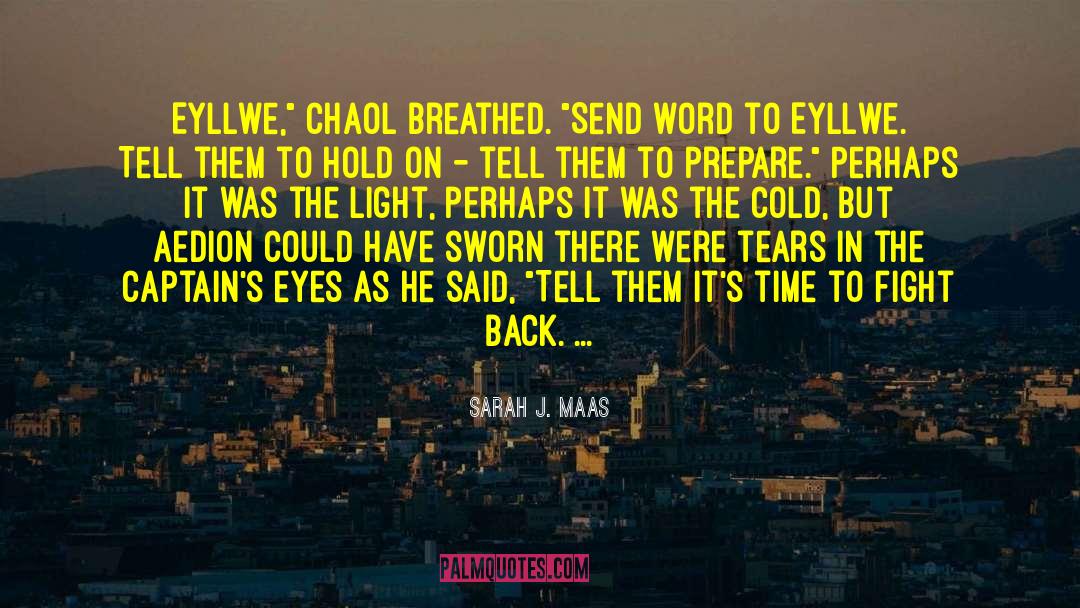 Chaol quotes by Sarah J. Maas