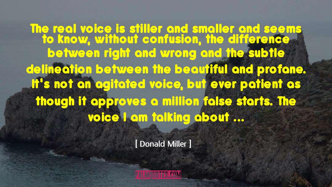 Chaos And Confusion quotes by Donald Miller