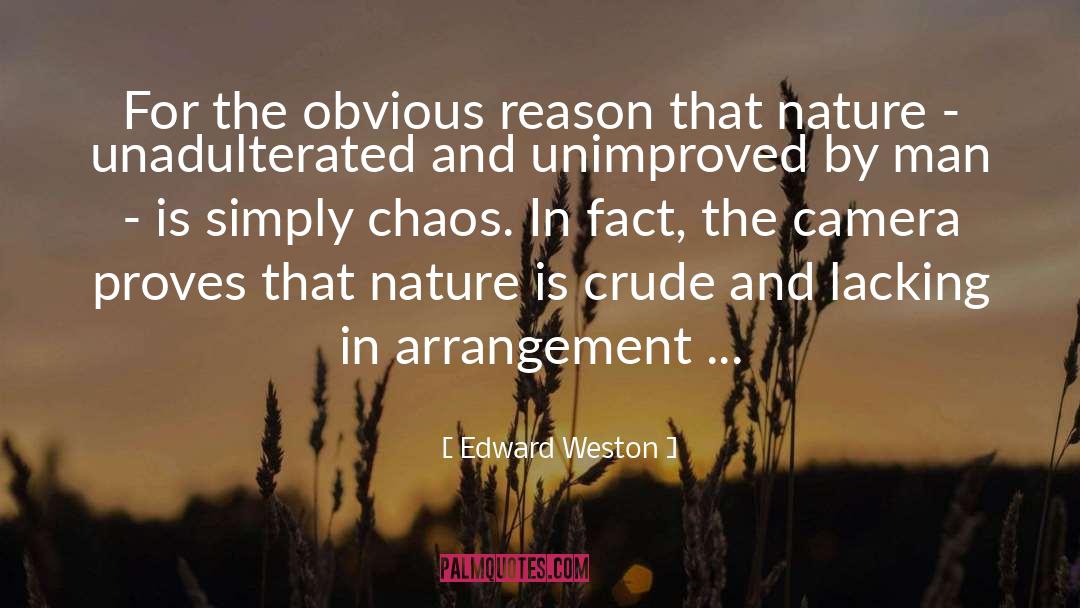 Chaos And Cyber Culture quotes by Edward Weston