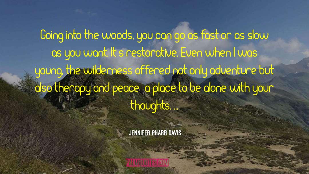 Chaos And Peace quotes by Jennifer Pharr Davis