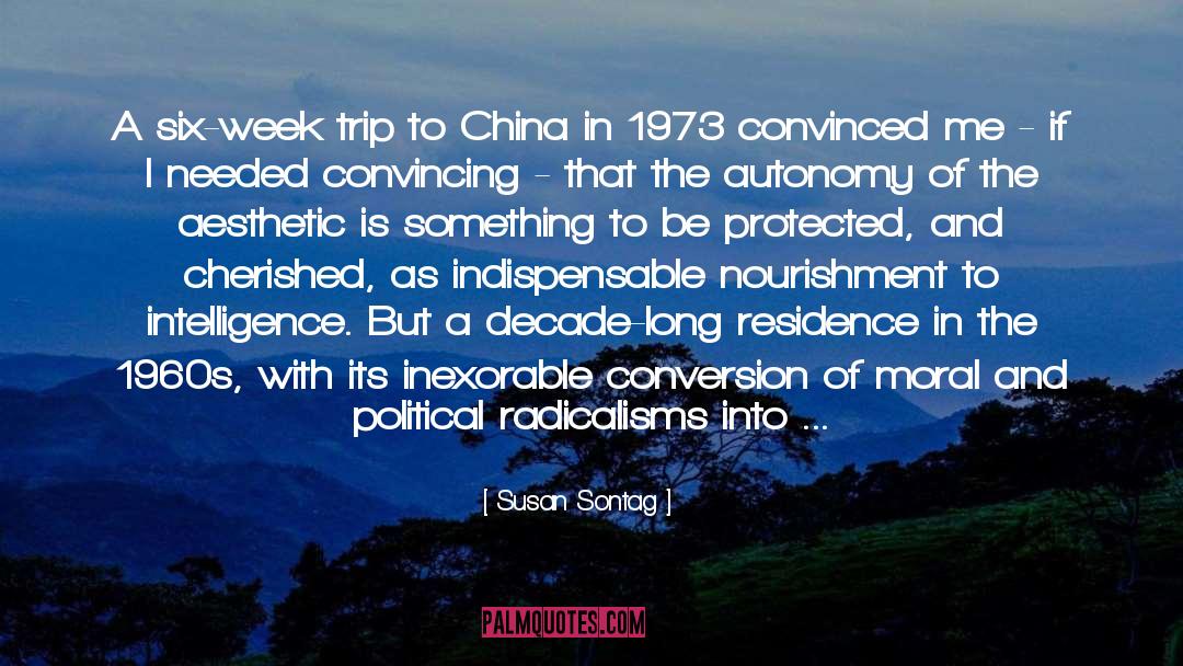 Chaos In The World quotes by Susan Sontag