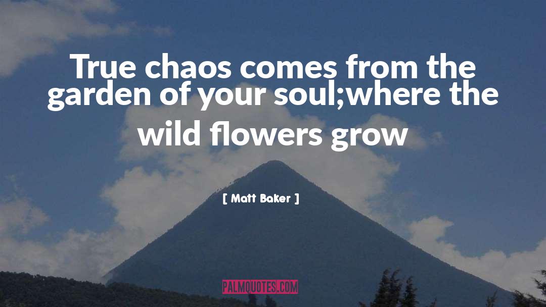 Chaos Magic quotes by Matt Baker