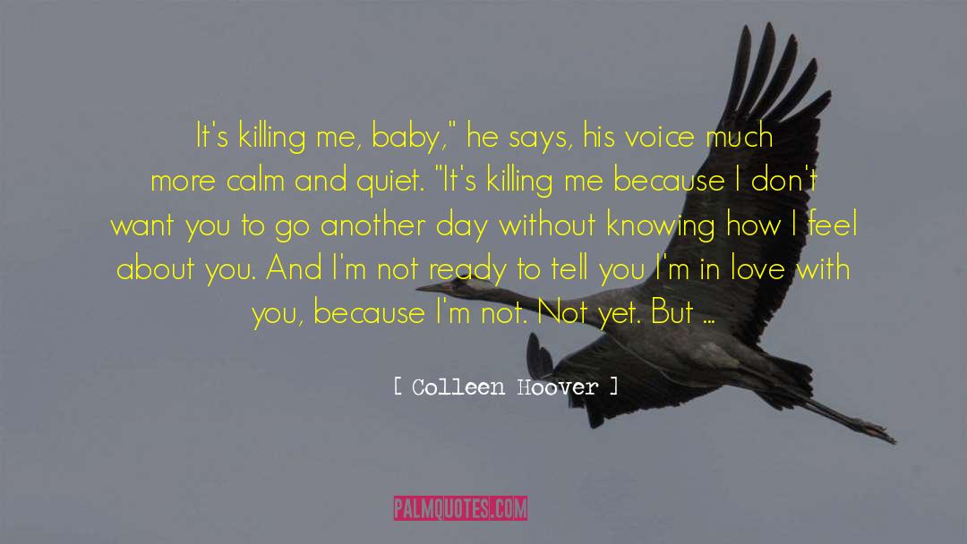 Chaos To Calm quotes by Colleen Hoover