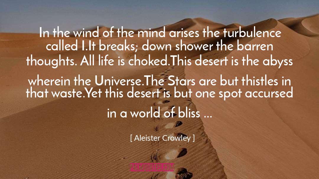 Chaotic Universe quotes by Aleister Crowley