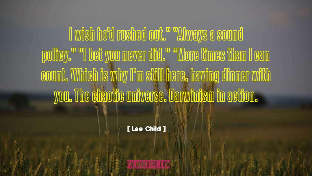 Chaotic Universe quotes by Lee Child