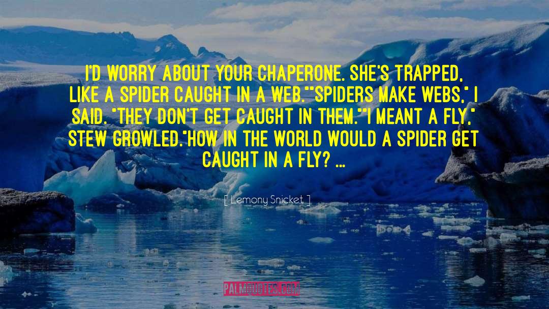 Chaperone quotes by Lemony Snicket