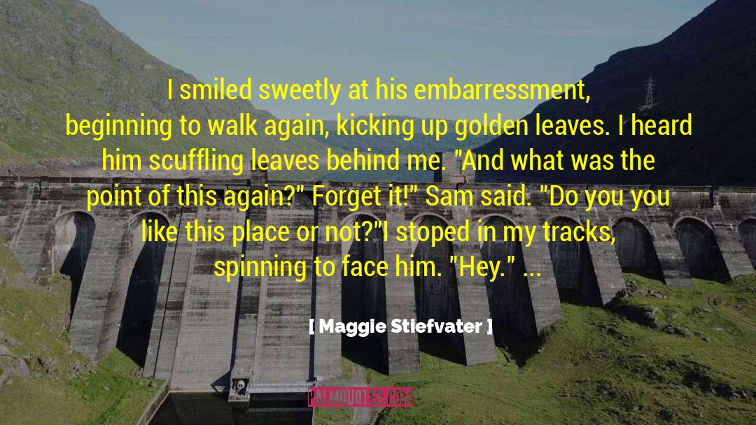 Chapter 8 Sam And Aimi quotes by Maggie Stiefvater