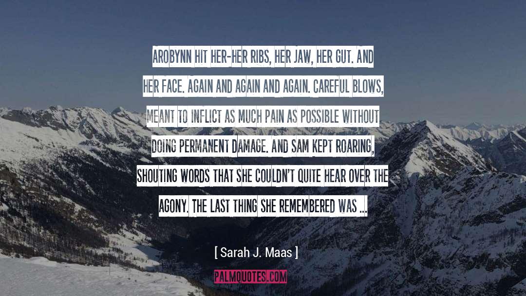 Chapter 8 Sam And Aimi quotes by Sarah J. Maas