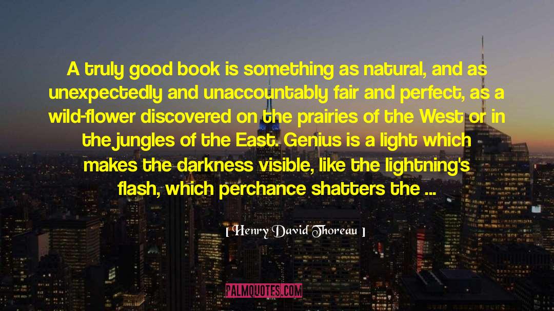 Chapter Books quotes by Henry David Thoreau