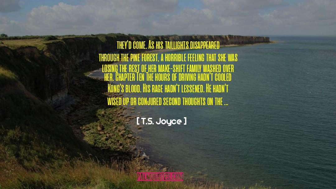 Chapter Vi quotes by T.S. Joyce