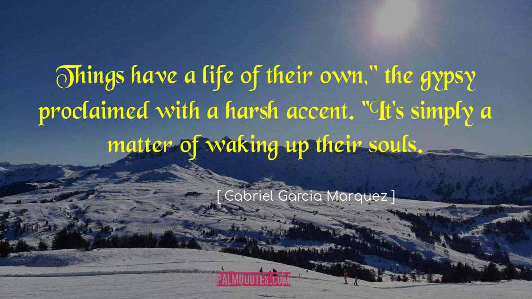 Chapters Of Life quotes by Gabriel Garcia Marquez
