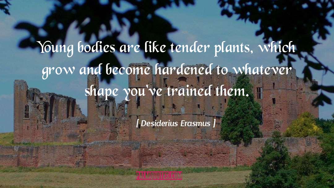 Character Building quotes by Desiderius Erasmus