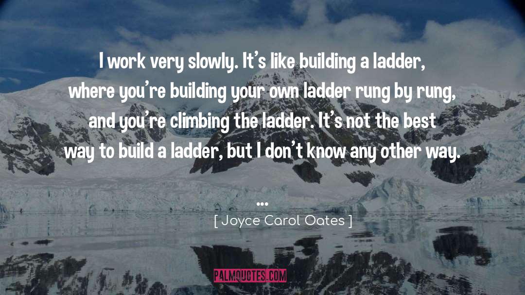 Character Building quotes by Joyce Carol Oates