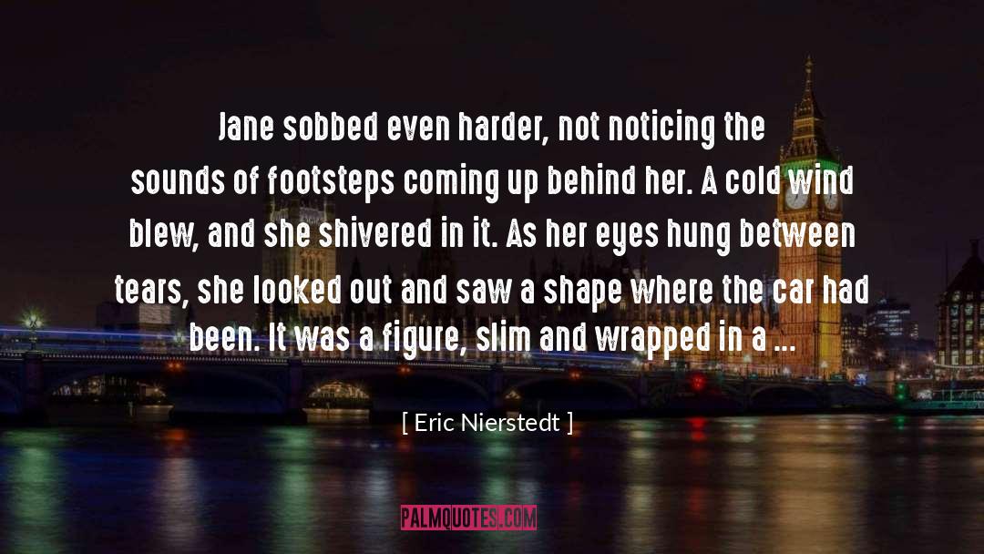 Character Description quotes by Eric Nierstedt