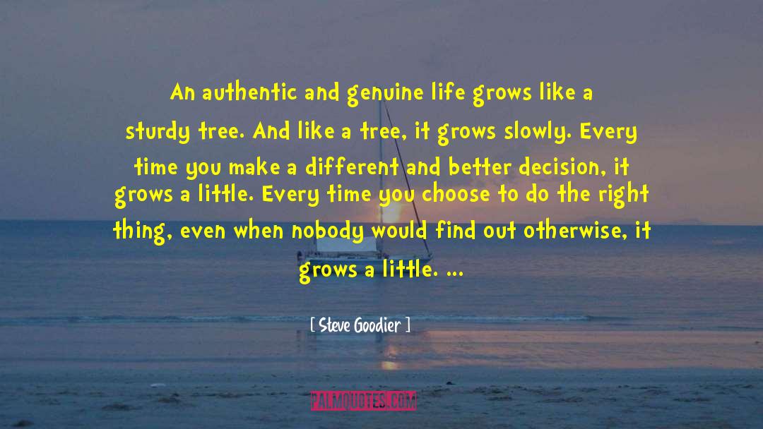 Character Development quotes by Steve Goodier