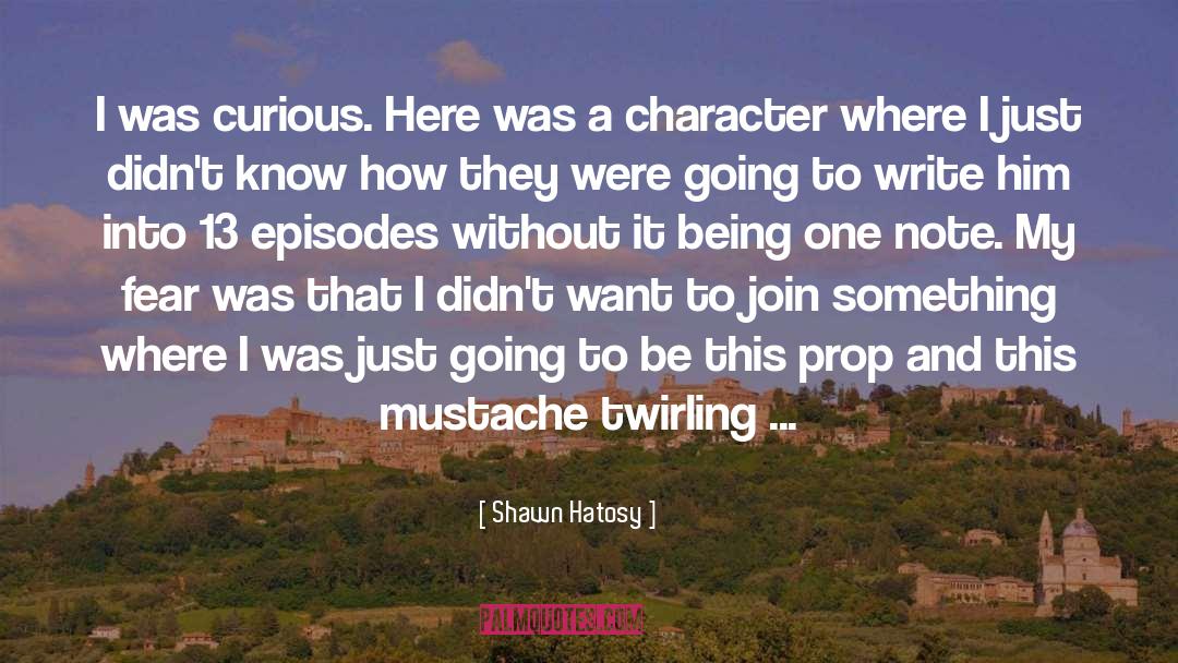 Character Flaw quotes by Shawn Hatosy