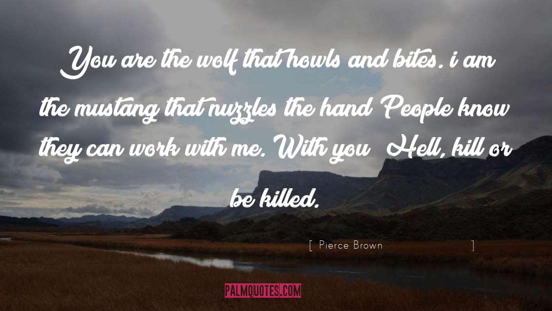 Characterization quotes by Pierce Brown